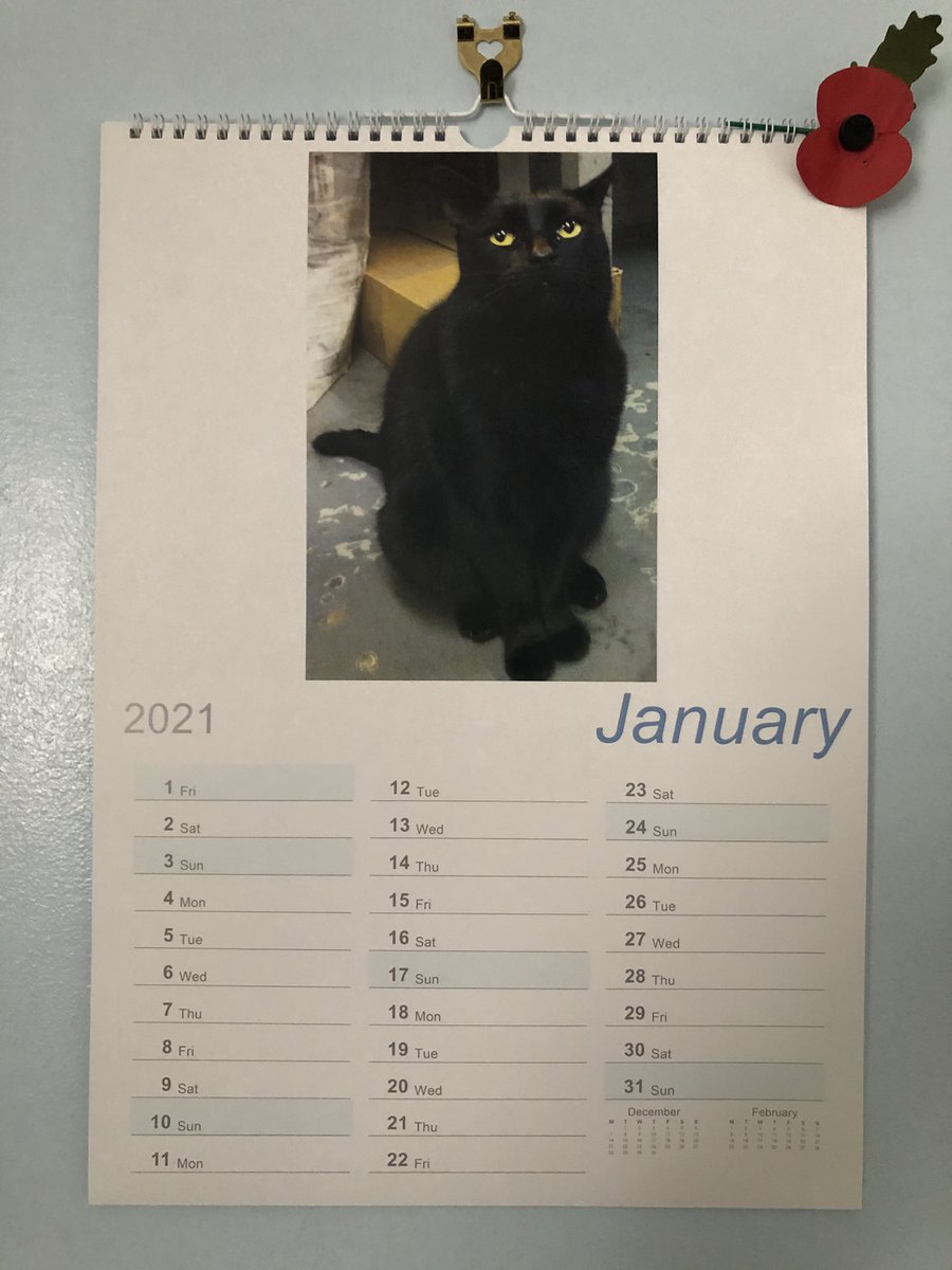 Mr Boris🐾 *Parody* tweet media