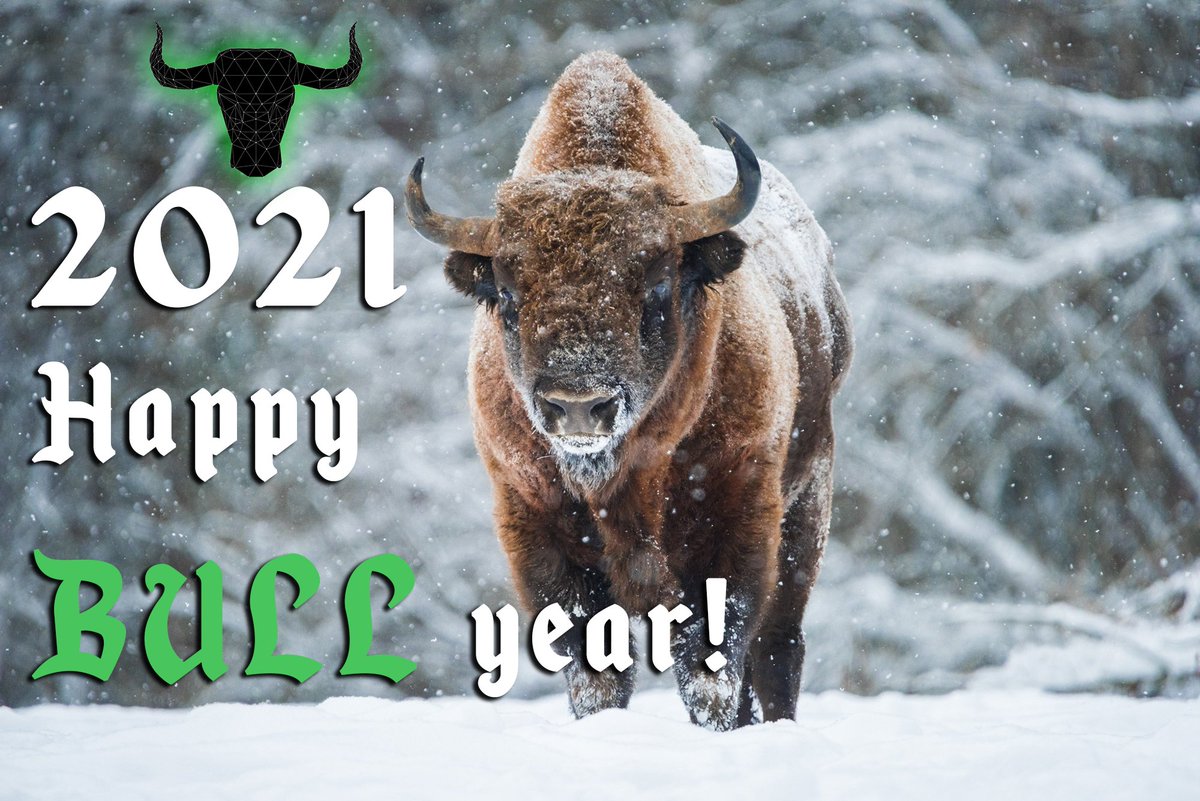 Hello dear BULL 🐃 community!🎄 🥂 
Happy New Year