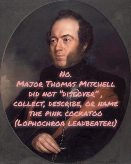 Indigenous Australians had known the pink cockatoo by local names in many languages for millennia. But Major Thomas Mitchell, colonial surveyor and explorer for the British Crown, neither "discovered" the pink cockatoo nor described it for European science.
