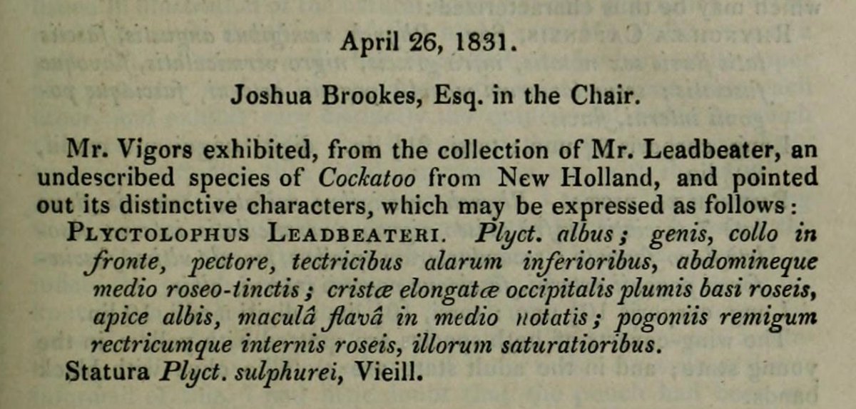 A specimen of the pink cockatoo had been formally exhibited and given a scientific binomial (Plyctolophus leadbeateri) by Nicholas Aylmer Vigors, Secretary of the Zoological Society of London, in April 1831... BEFORE Mitchell ever left Sydney to explore the colony's interior.