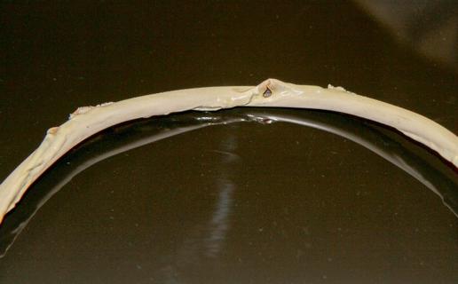 aciorguk's tweet photo. 7 DEADLY CABLE SINS: SIN NUMBER 6. This ceiling light power cable was running hot, a result of insufficient copper resulting in the sheathing compound melting. Again, this cable was used in a domestic environment. https://t.co/qLUm51Eban