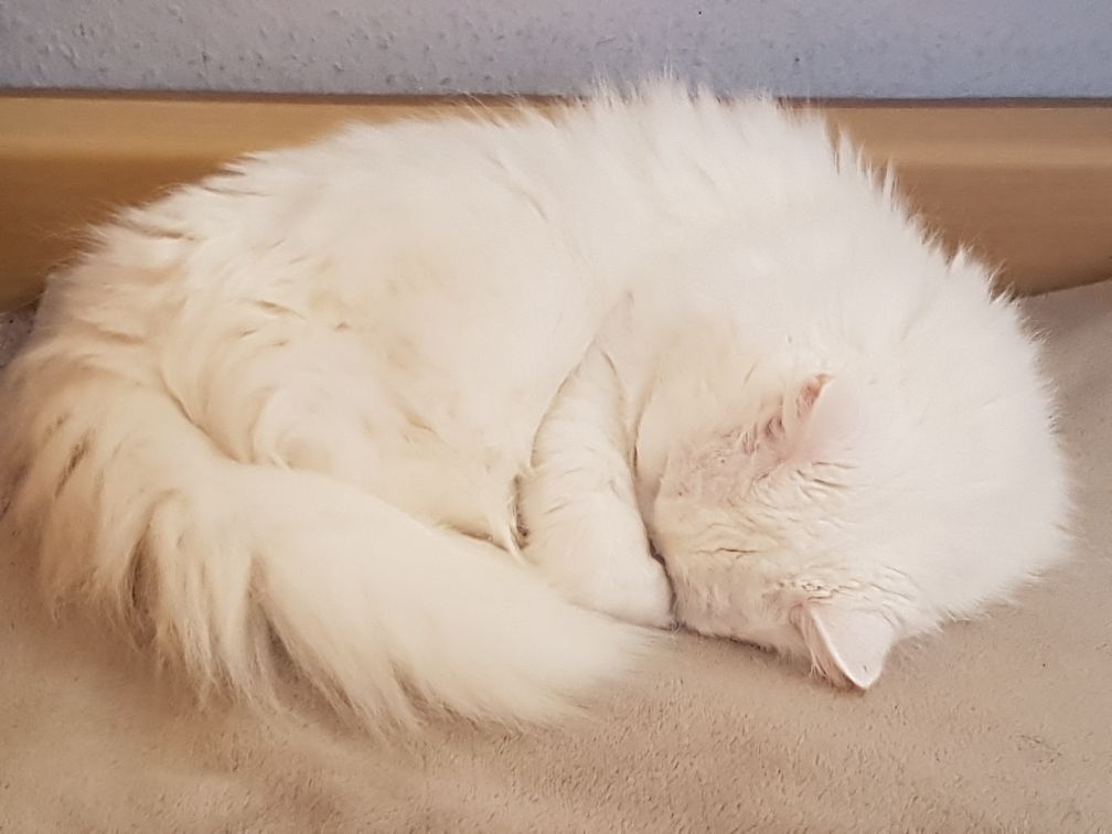 Musste gestern zu lange wach bleiben und heute erstmal ausschlafen