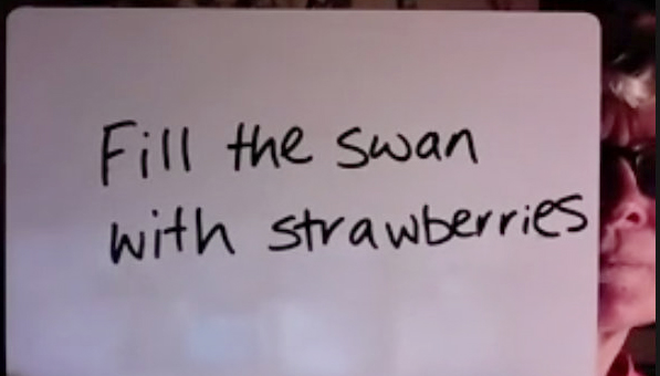 #InstructionsToLiveBY is a new participatory project developed by PSU with support from #SocialARTery - an online platform piloted by <a href="/axisweb/">Axis</a> and <a href="/SocialArtUK/">Social Art Network</a>
We're exploring methods of working collectively within current (and ever-changing) lockdown and distancing rules.