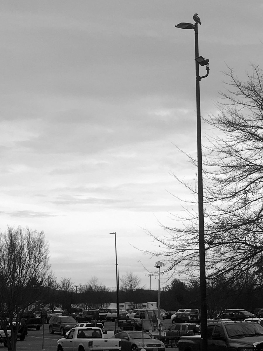 Ray Nedzel tweet media