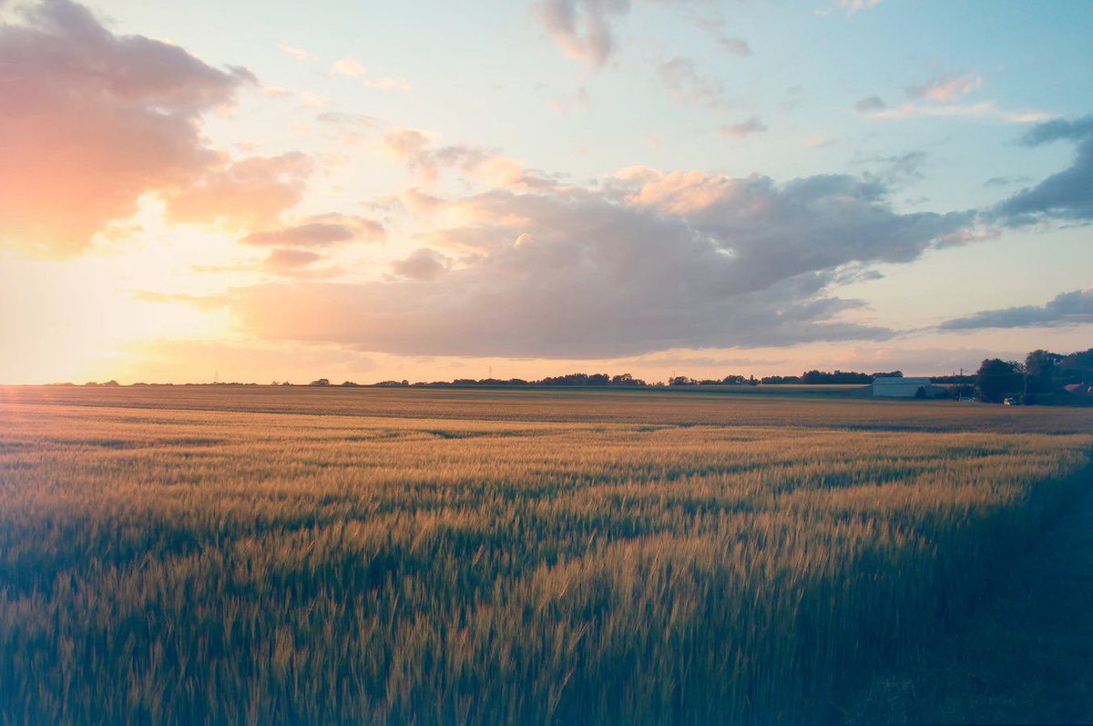 EricTHIROUIN's tweet photo. Une nouvelle année commence  pour l'#agriculture française 🇫🇷👩‍🌾 ! Tout au long de l'année 2020, les #céréaliers ont fait face à des combats, prévus ou imprévus, que nous avons su relever. 
 
Pour #2021, je formule 3 souhaits. #Voeux https://t.co/YCCHVfVo8c
