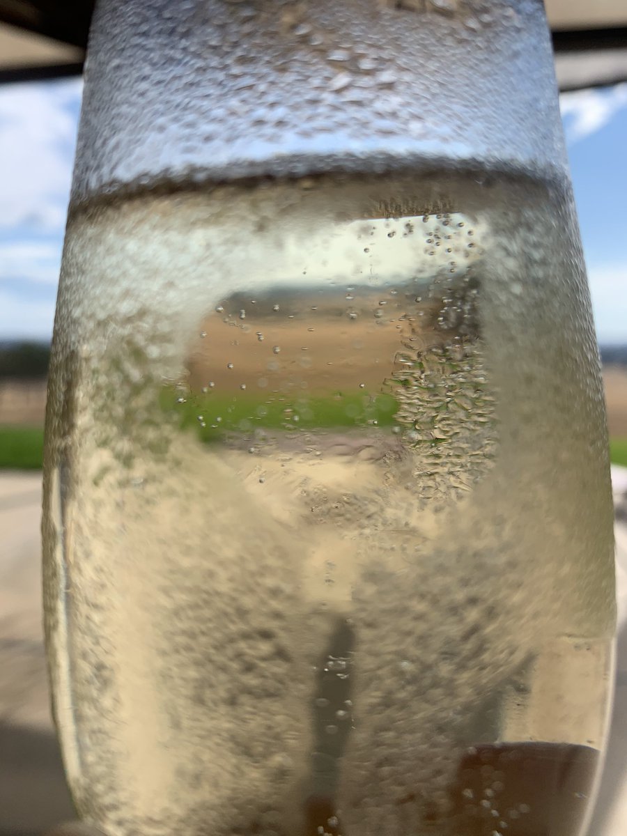 Pretending it’s a crystal ball.. who knows what’s to come in 2021... sure is testing the most optimistic of optimists.. guess we have to expect the unexpected and be safe (while maintaining a semblance of a sense of humour) 💕