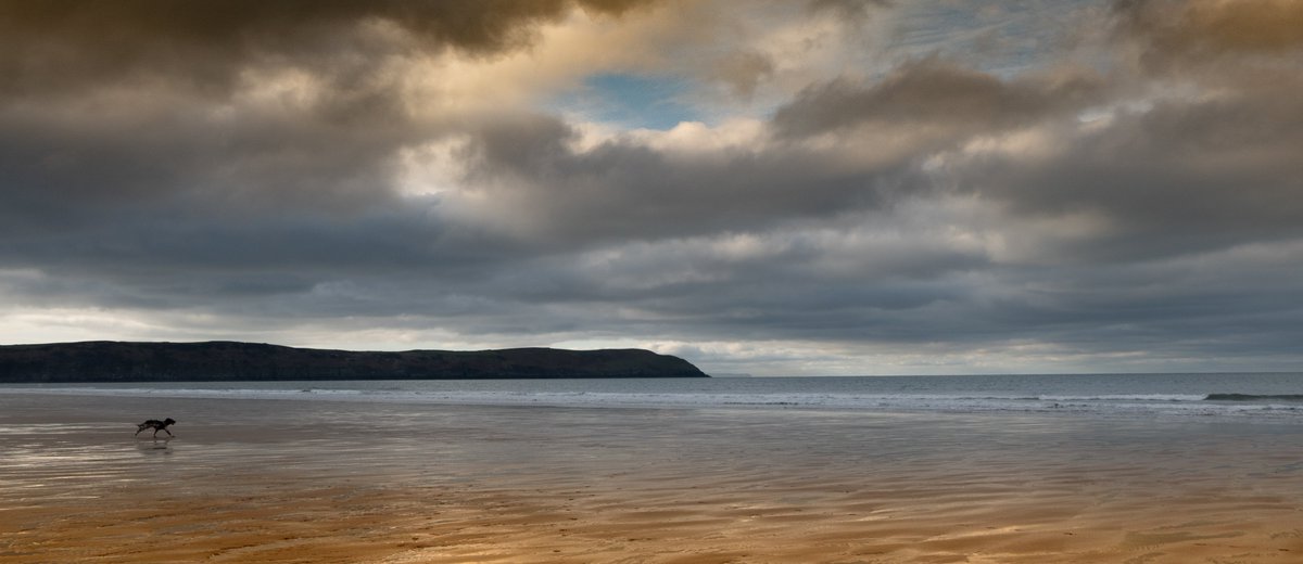 cider hound having a new year canter #northdevon #devon #cider
