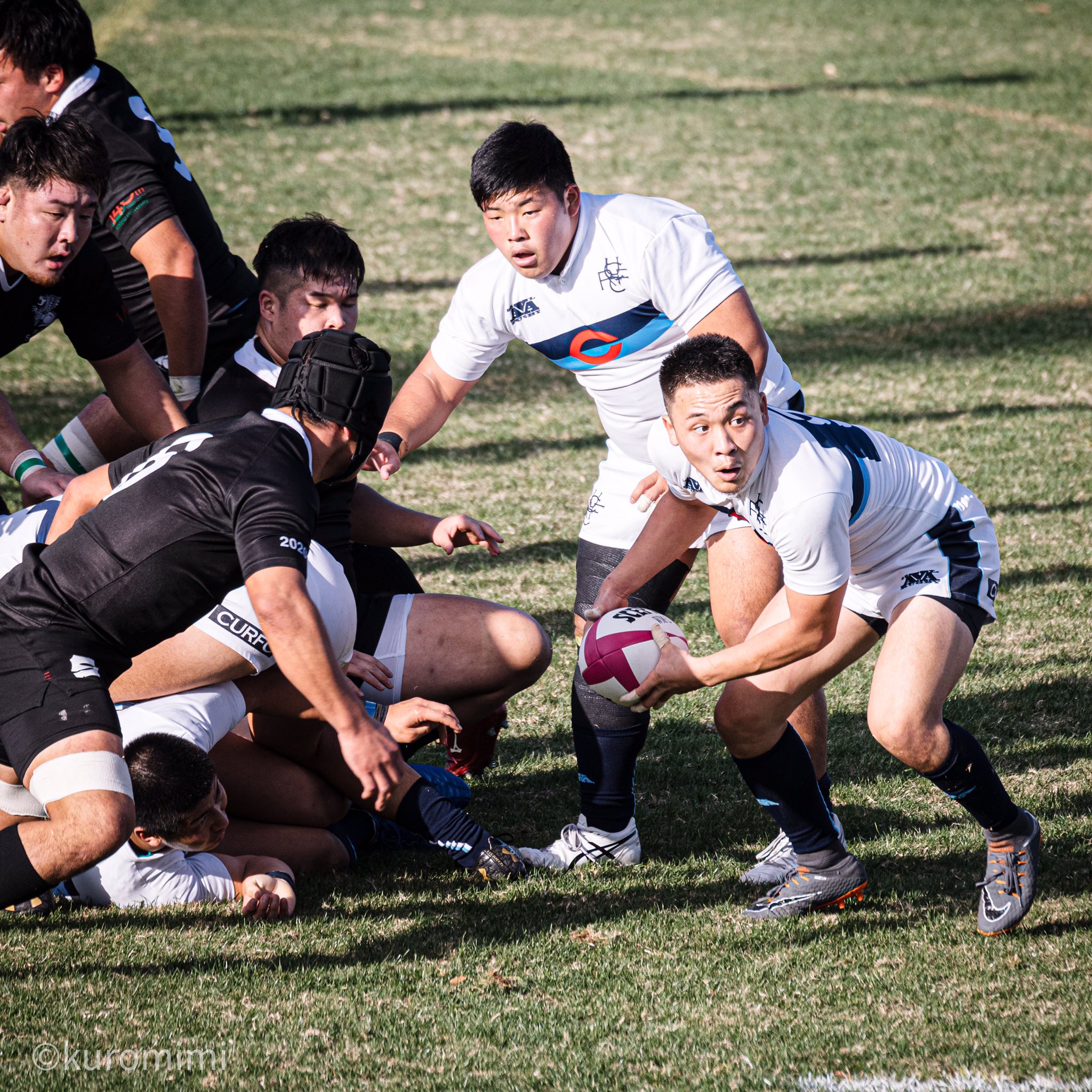 専修大学ラグビー部ユニフォーム