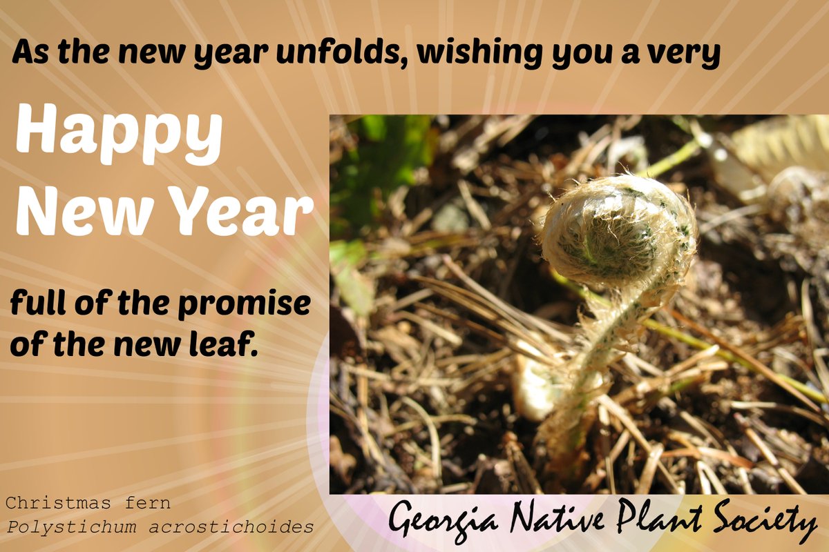 GNPSociety's tweet photo. Wishing you all a very Happy New Year. #gonative https://t.co/yoR6vB8Wx5