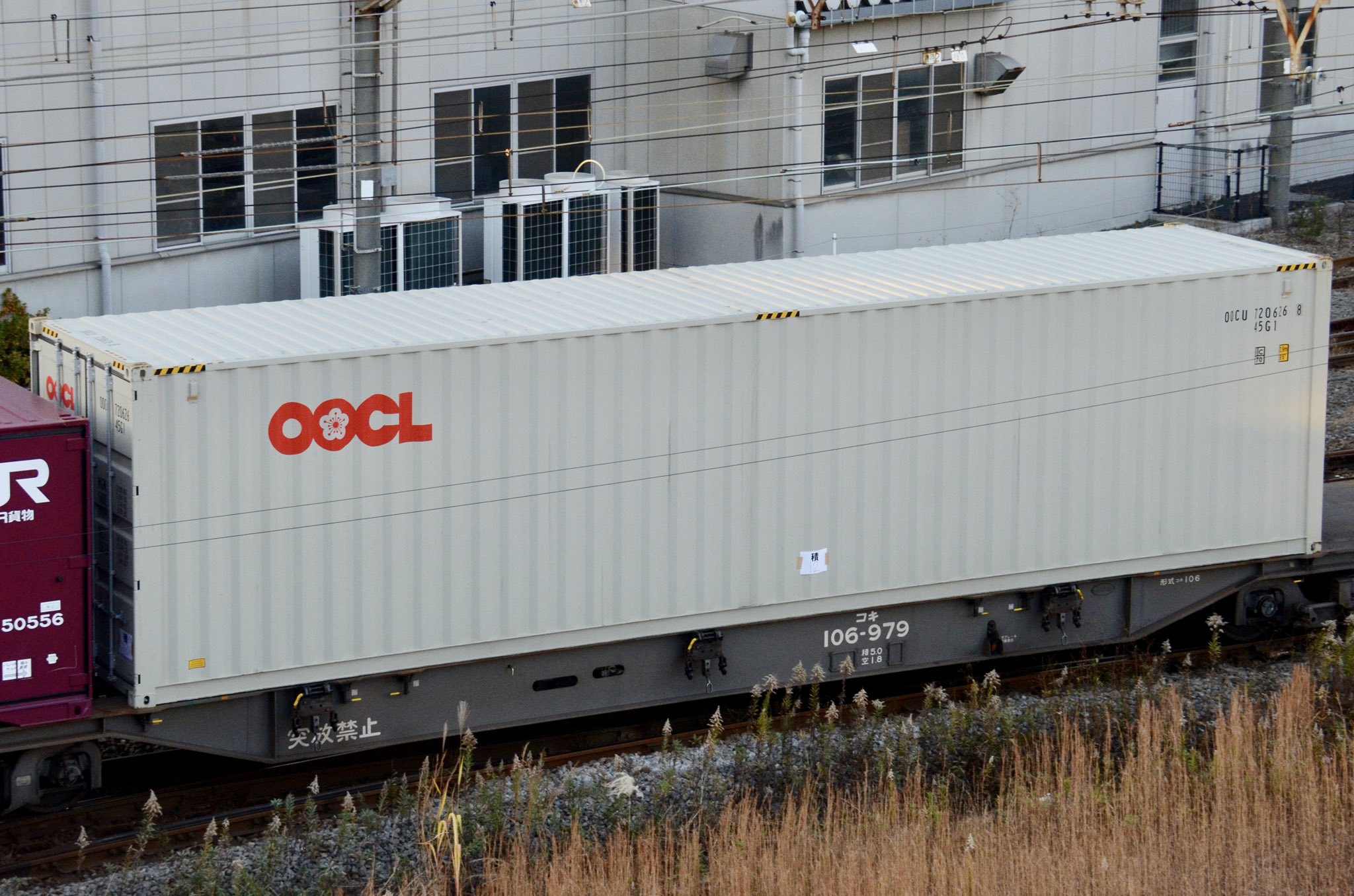 TEKNO 86687 TB OOCL 20Ft Container 1/50 | eBay