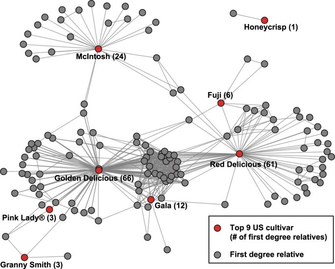 ZoΓ« Migicovsky (@zoemig) on Twitter photo Why have just one apple a day? Start the new year off with over 1000 apples in our new article on the genomic consequences of apple domestication.
Thank you to my coauthors @foodimprover <a href="/USDA_ARS/">Agricultural Research Service</a> <a href="/AlleleFreak/">Kyle M. Gardner</a> π π π§¬
nature.com/articles/s4143β¦ Why have just one apple a day? Start the new year off with over 1000 apples in our new article on the genomic consequences of apple domestication.
Thank you to my coauthors @foodimprover <a href="/USDA_ARS/">Agricultural Research Service</a> <a href="/AlleleFreak/">Kyle M. Gardner</a> π π π§¬
nature.com/articles/s4143β¦
