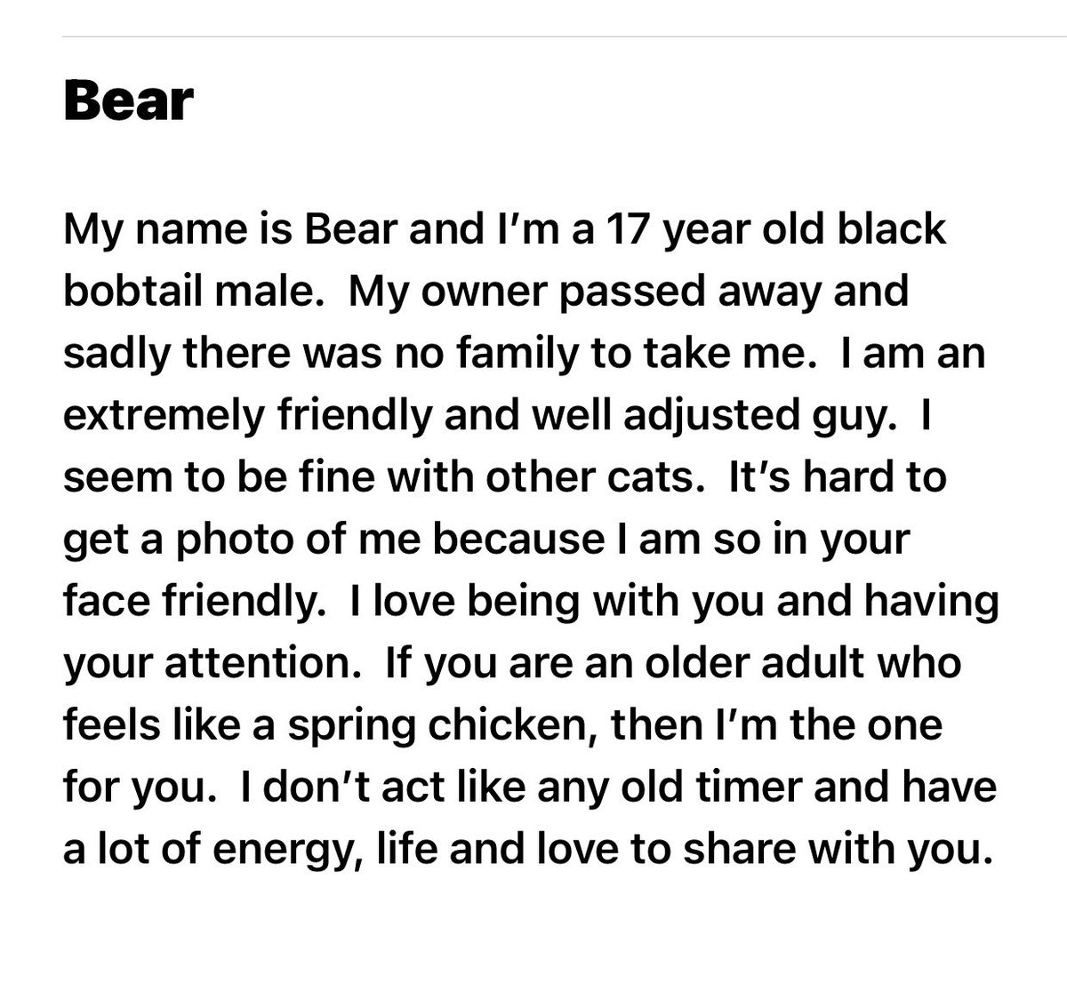 ConnectionKitty's tweet image. 