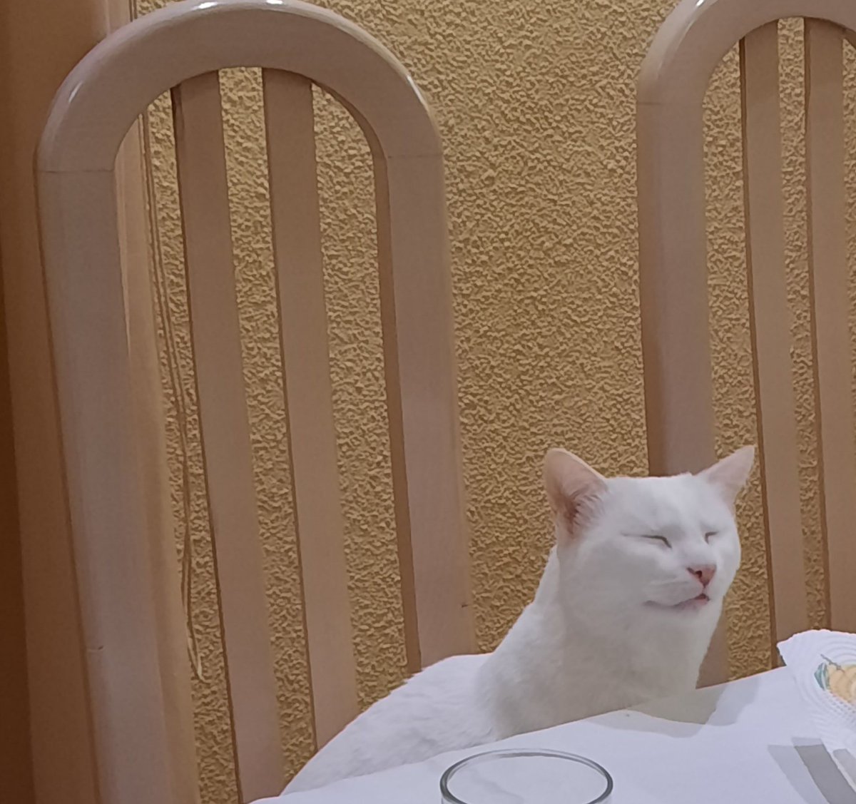 Raquel🐢 tweet media