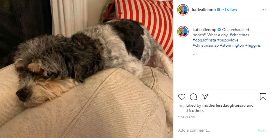 101) Scott Ludlam, who has dog called  #Sirius, shared pic with diff pooch. As well as another sign of his belief in an all powerful *Dog* he might be flashing the ol' one eye sign. Speaking of which, check out shot by  #DictatorDan Fan Dr Katie Allen.  https://twitter.com/matthewhayden/status/1337713609300824067