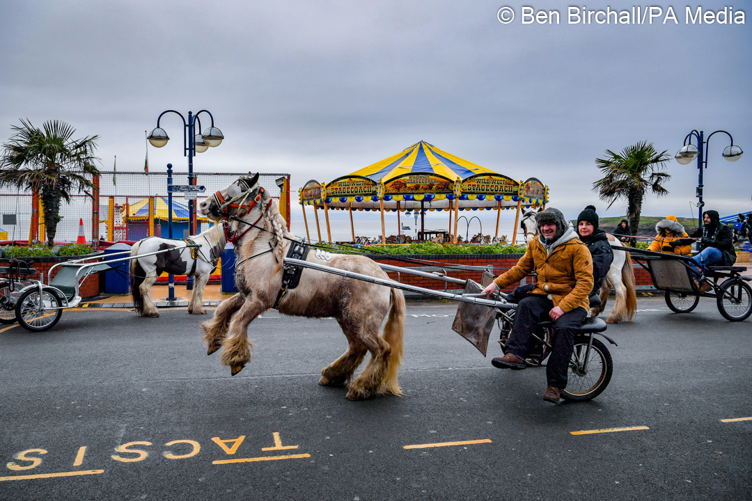 BenBirchallUK's tweet photo. This is why Barry Island is so amazing. Spotted on the first day of 2021
#HappyNewYear2021 #ponytrap #wales #HAPPYNEWYEAR https://t.co/ARoWQOxoXm