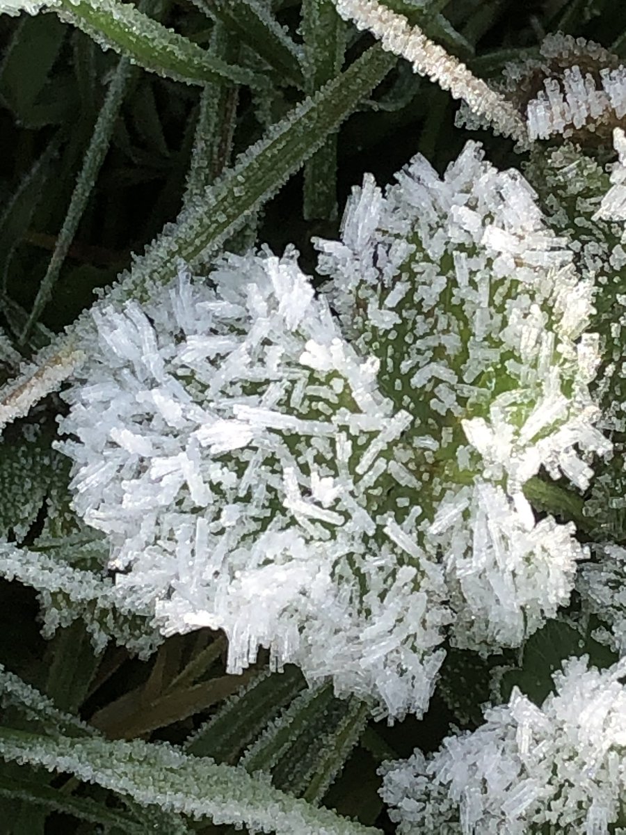 Manolamedia's tweet image. Stunning morning managed to take these with my phone but decided 2021 going to take my camera around with me more. #firstdayof2021 #lifegoals #lovephotography  #photography #m  #ice #mothernature #mothernaturesbeauty #saltash @WCornwallHour @ILoveCornwallUK @CornwallLifeMag