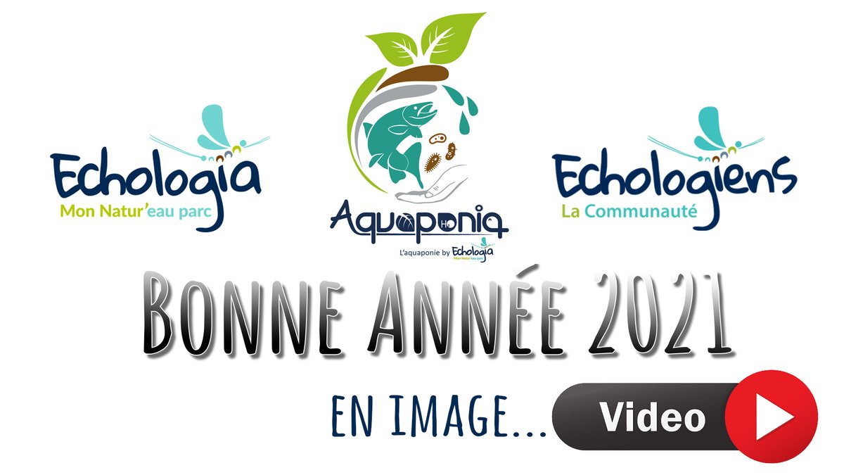 On vous laisse regarder notre vidéo, tout est dit !

youtube.com/watch?v=Nj2vg2…