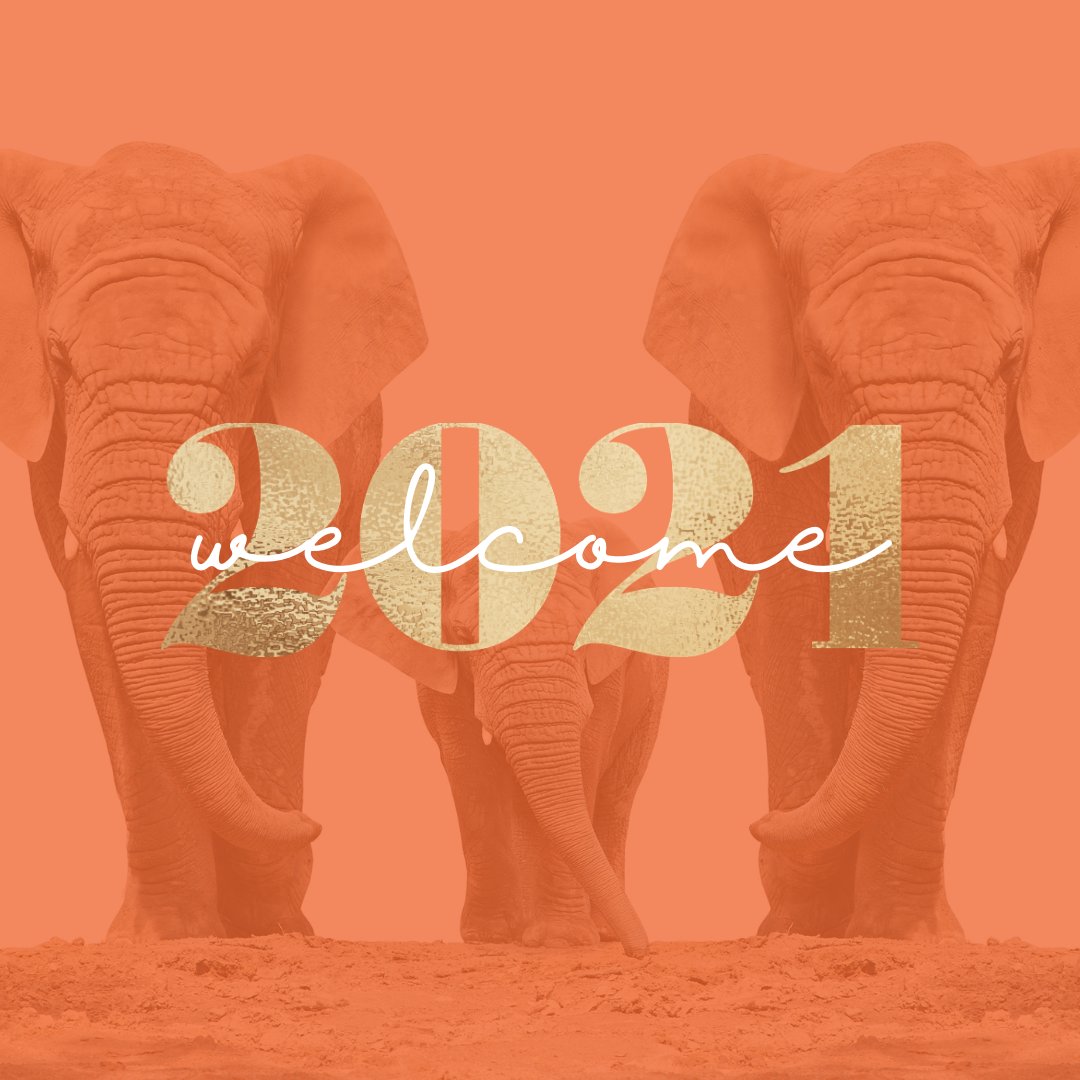 billyardins's tweet photo. So long 2020, it’s time to move forward into a new year! Let’s embrace #2021 with new-found hope and optimism. BIG is wishing you a prosperous and healthy year full of #hope. Do you have any BIG #goals for this year? #thinkBIG https://t.co/2ZgeVEa0Ro
