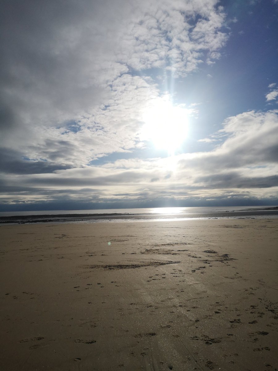 Joanne Kearney tweet media