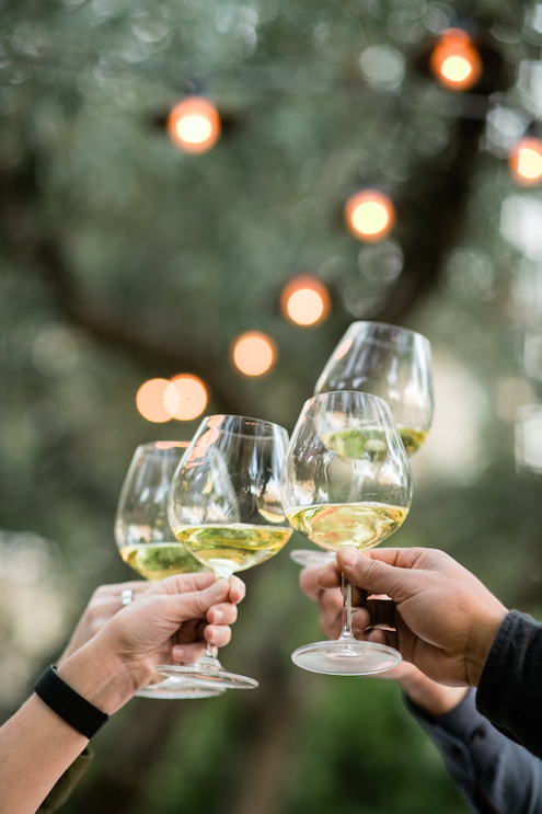 Knights Bridge Winery tweet media