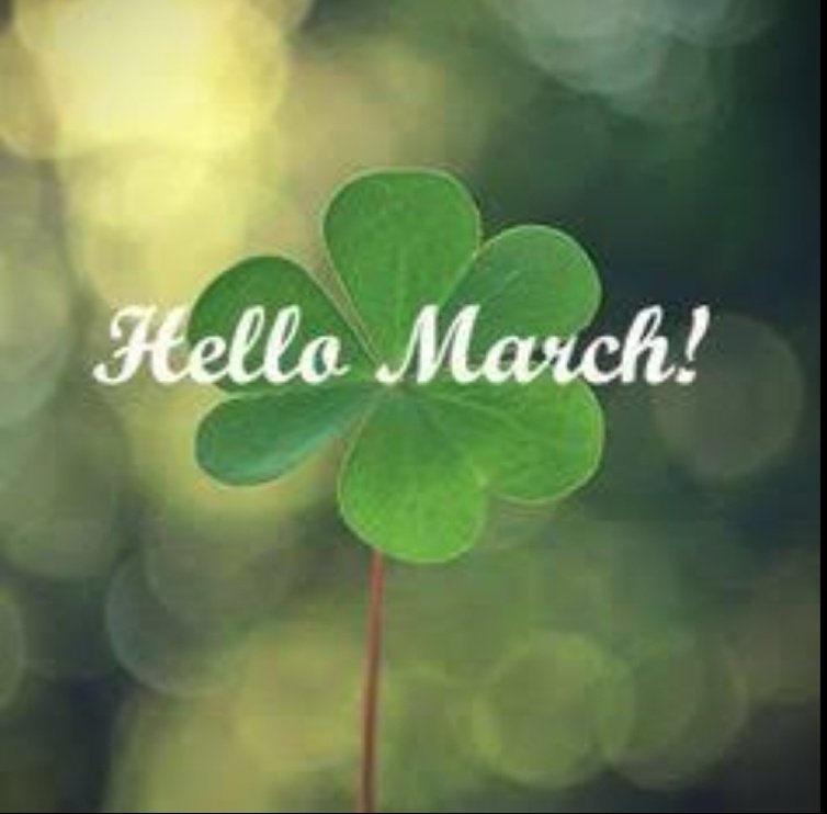 ~ 𝐦𝐚𝐫𝐜𝐡  #𝓢𝓱𝓪𝓱𝓮𝓮𝓻𝓢𝓱𝓮𝓲𝓴𝓱