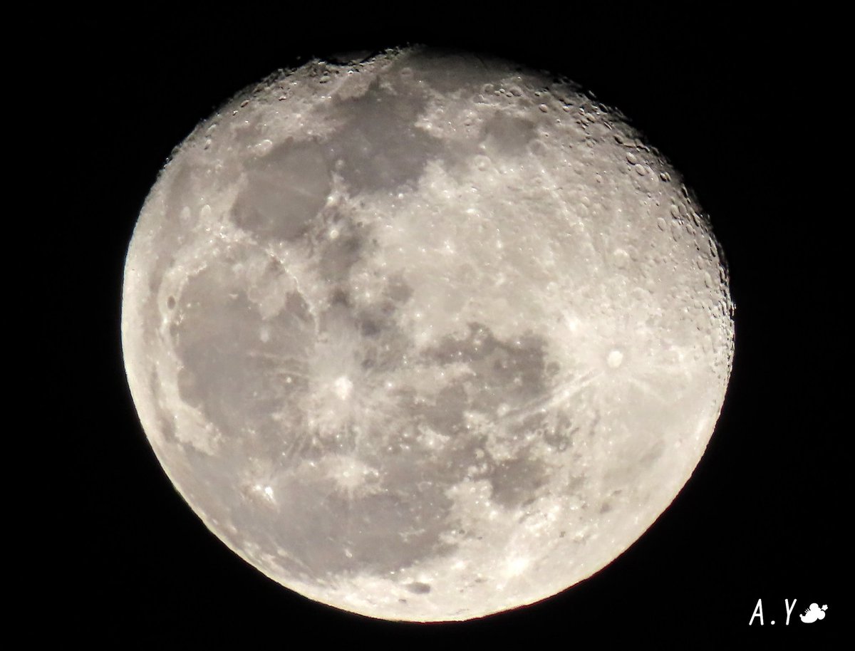 yumeasutw's tweet photo. 今宵も月が綺麗です🌔✨
晴れ渡る冷えた #元日 の夜🌃✨
東の空に #居待月 (月齢17.9)が煌々と輝いています✨
南の空には、 #冬の大三角 が瞬いています✨
#イマツキ #月 #moon
#夜空 #宙の名前
#オリオン座 #ベテルギウス
#おおいぬ座 #シリウス
#こいぬ座 #プロキオン
#a2021 #a0101 #a202101 https://t.co/Xa9yE0sYwn
