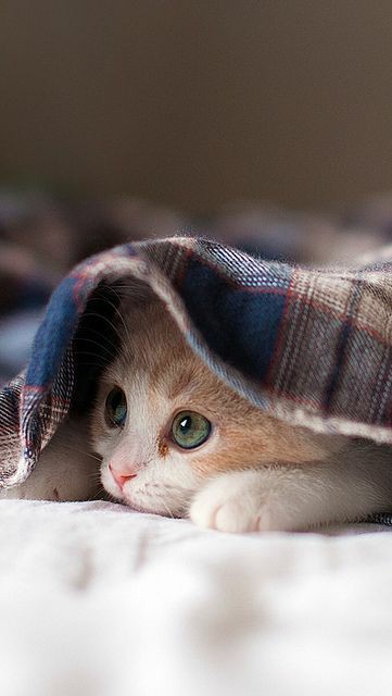 2climatesavior's tweet image. Waiting what 2021 has to bring. 👀