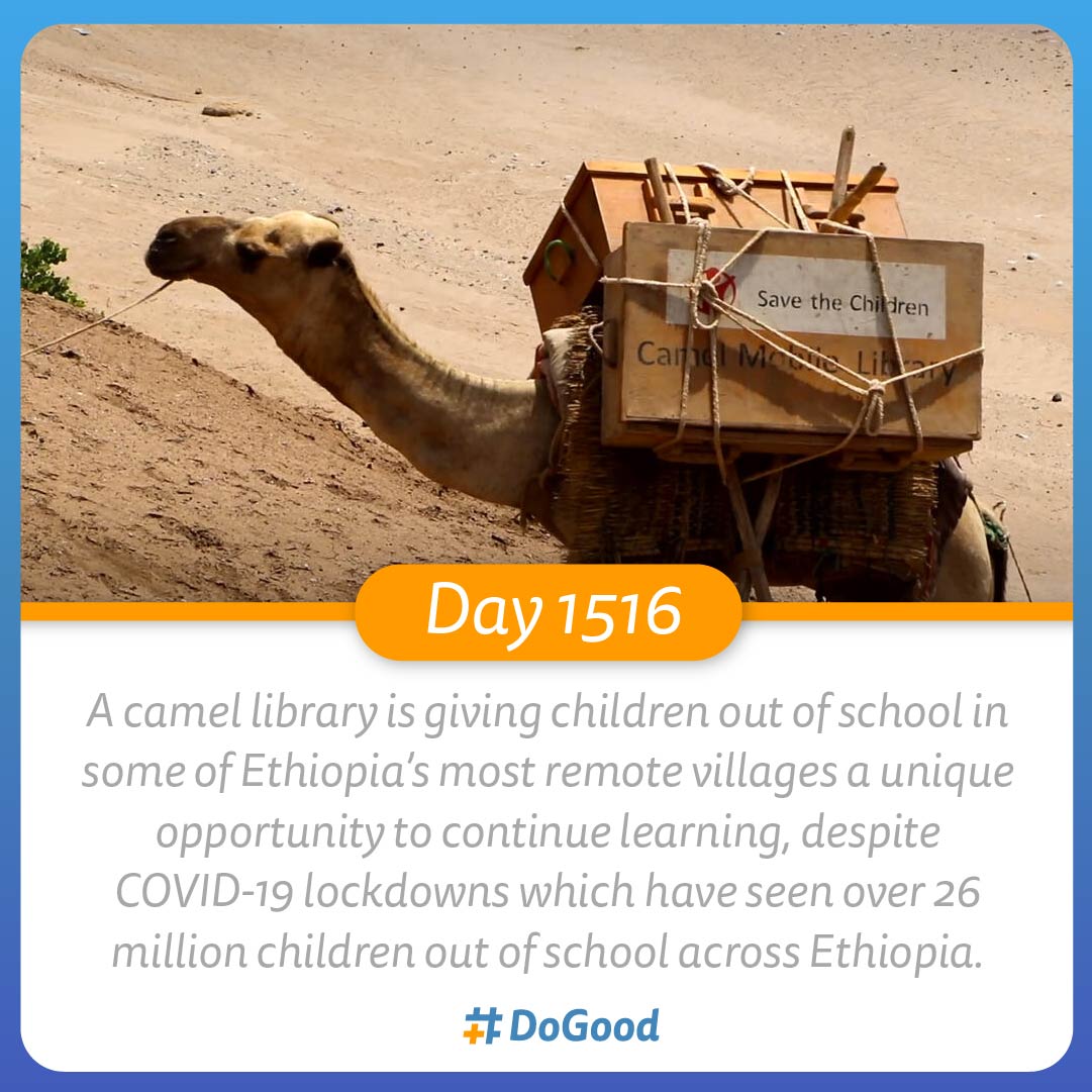 hashtagDoGood's tweet photo. #DoGood Day 1516

A camel library is giving children out of school in some of Ethiopia’s most remote villages a unique opportunity to continue learning, despite COVID-19 lockdowns which have seen over 26 million children out of school across Ethiopia. 
https://t.co/B9JXkJMg6S https://t.co/T7eChA4T7r