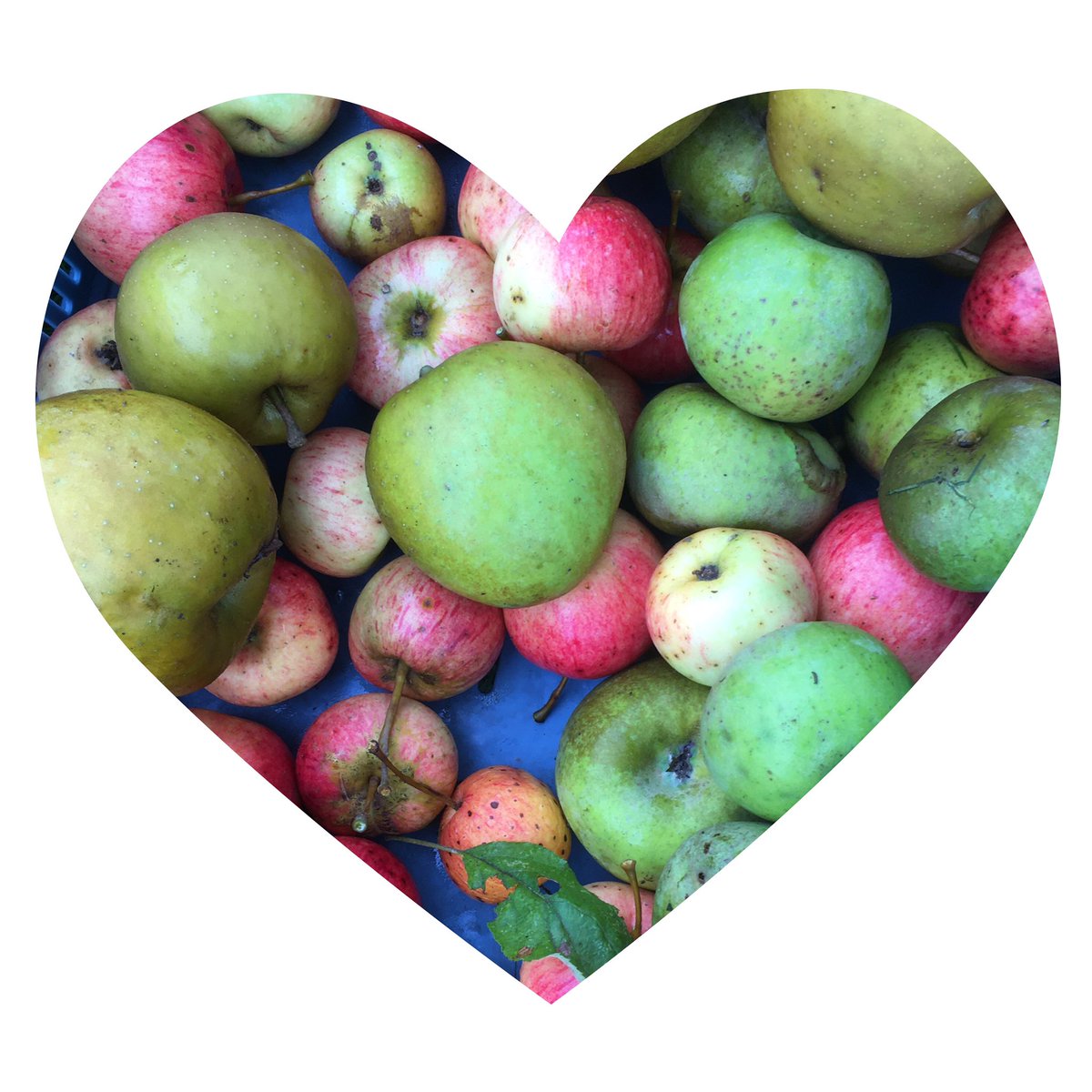 Een mooi nieuwjaar 💚🍏