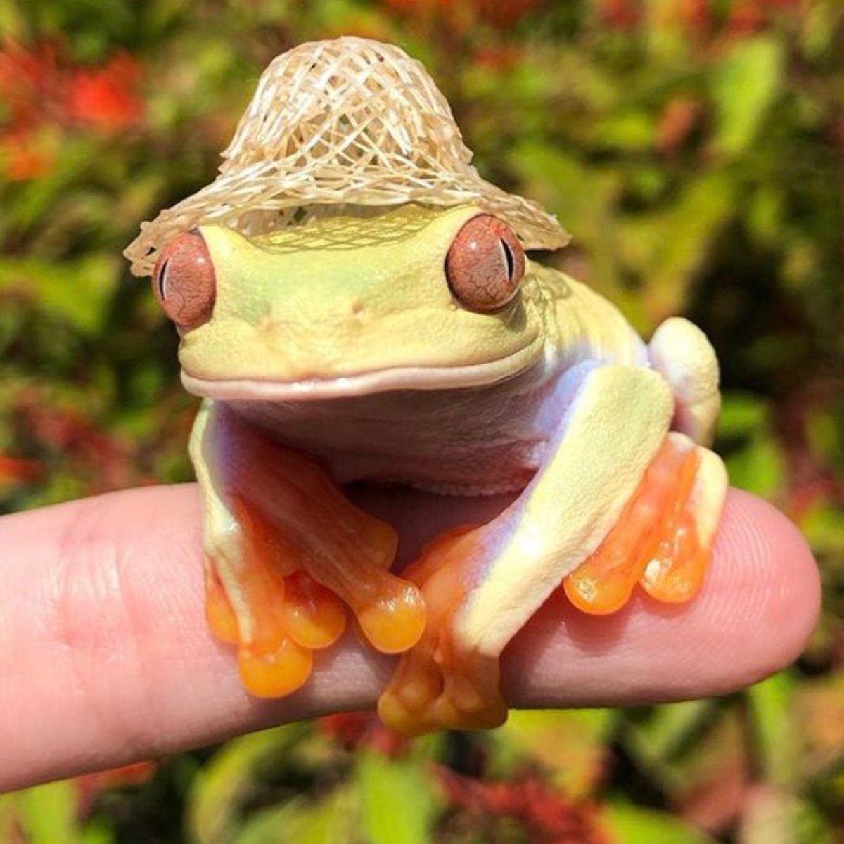  Instagram/sticky.dogs