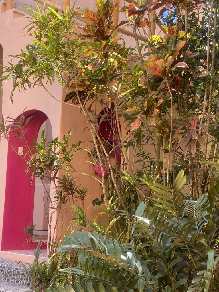 Look closely for a wild Goldberg.