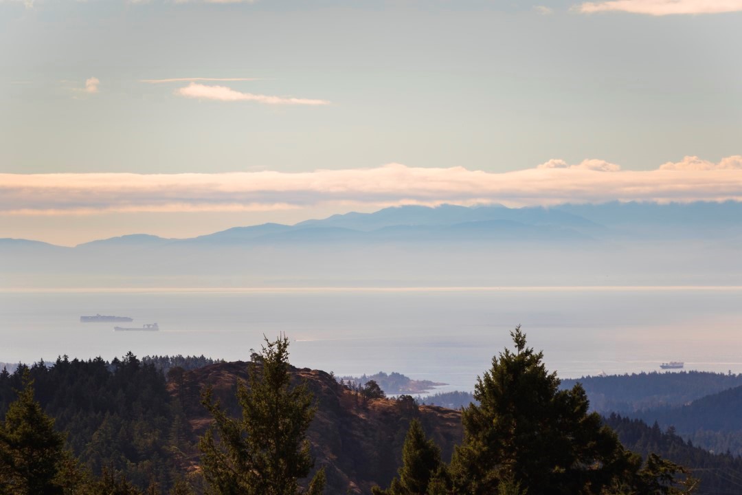 Happy 2021 everyone! May your 2021 be infinitely better than 2020!

coastlineendurancerunning.com

Photo by Matt Cecill Visuals