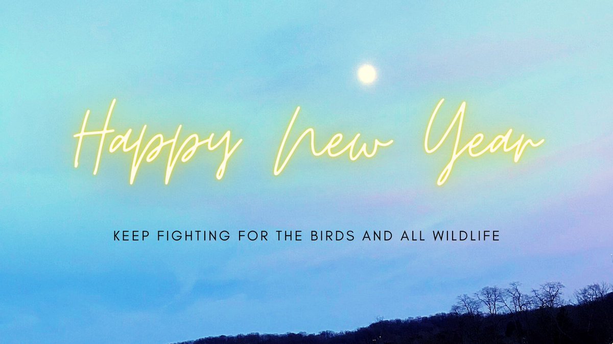 kingbird_land's tweet photo. Happy New Year - hereโs hoping we can continue to protect birds and all wildlife. Enjoy this early sunset shot of the โcold moonโ from the past week!
#moon #photography #photographer #sunset #nature #natureconservation #landconservation #landconservancy #winter #winterphotography https://t.co/1RZzR1aOSI