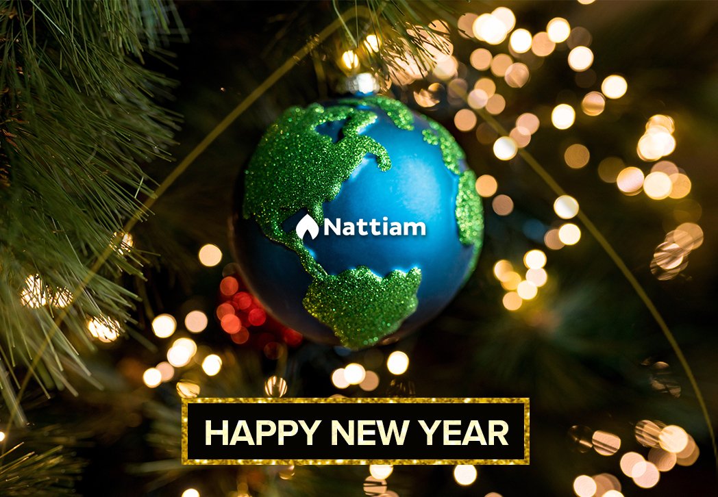 Happy New Year! We hope that this year everything you want will be fulfilled.

#happynewyear #nattiam #newyear #newyear2021 #sustainablenewyear