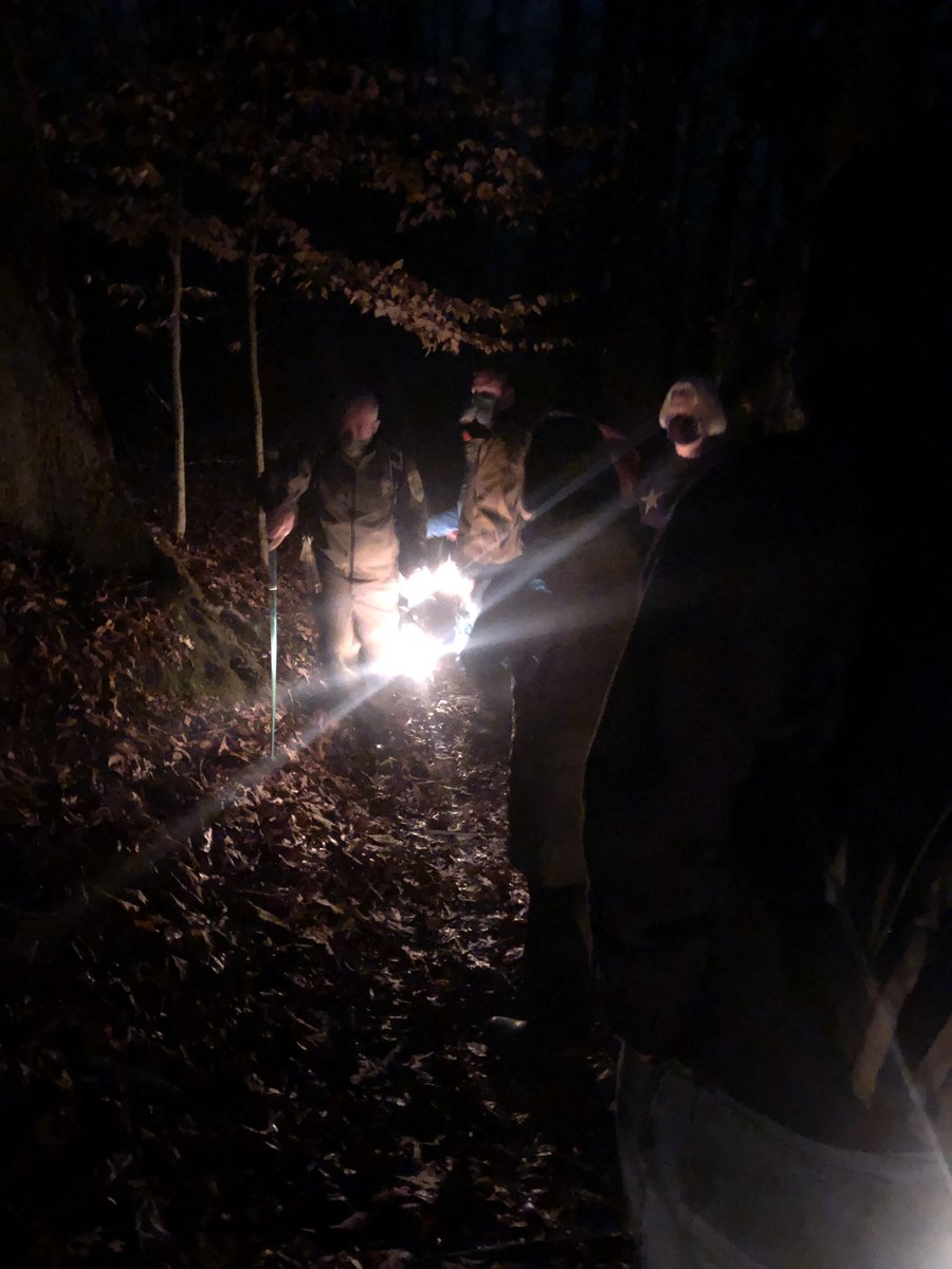 britestack's tweet photo. How did you ring in the New Year? I started 2021 in one of my favorite places - on a hiking trail at Warriorsโ Path State Park. @TennStateParks #optoutside #wildwoman #forceofnature #sweatydirtyhappy #northeasttennessee #netn https://t.co/sfnFBuGB2o
