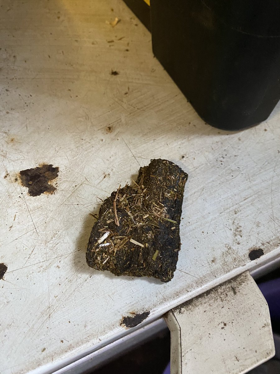 leanne_hirsch88's tweet photo. @TeamSPILLERS I found a hard object in my bag of happy hoof yesterday. I’m not certain what it is, but either way I’m certain it shouldn’t be in a brand new bag of feed? https://t.co/ESt3S2m0Kl