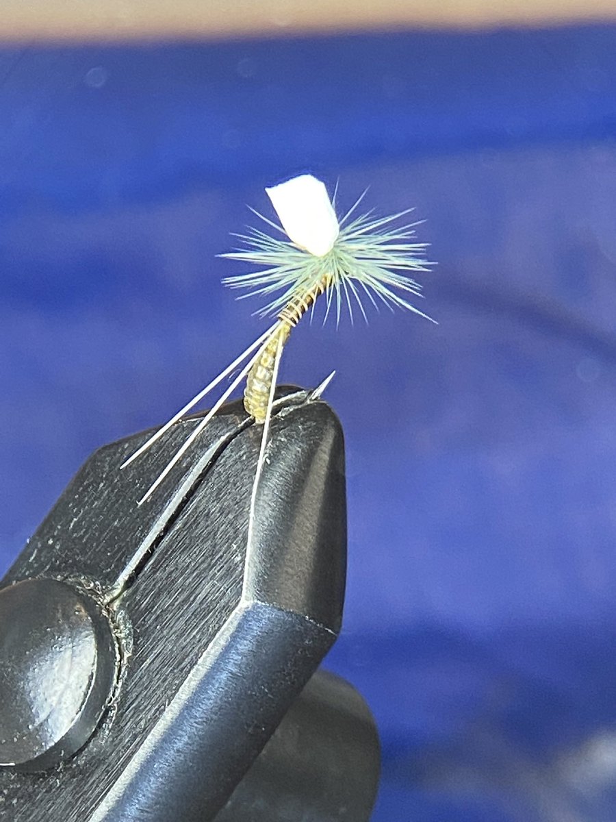 Midlifeflysis's tweet photo. Spending time at the vise with my beautiful wife Lynne. I’m a lucky man. Here are some of the “Stoutly Emergers” cranked out yesterday. #flytying #flytyingjunkie #flytyingaddict #flyfishalberta #troutflies #dryfly #dryflytying #flyfishyyc #yyc #yycsmallbusiness #okotoksbusiness https://t.co/MdIGyyEd17