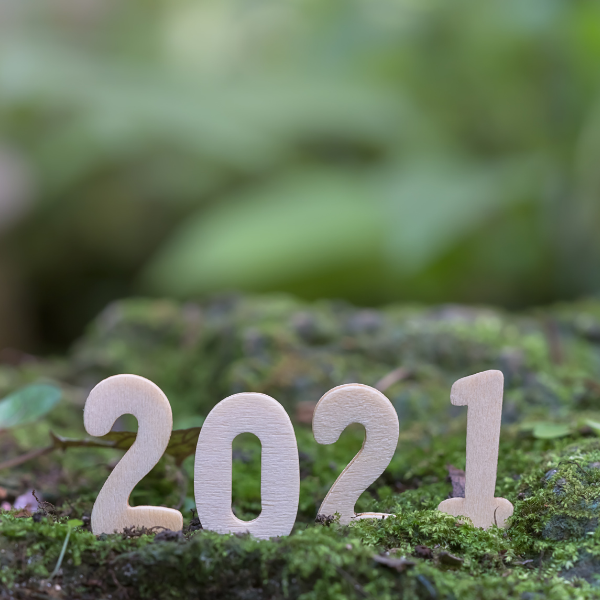 envirowaste's tweet photo. What a year it's been! Tough and challenging at times, but we got through it. A well-deserved break for the environment as well. 🌿

Here's to a very Happy New Year! 🎉 Let's keep up the good work of recycling and being mindful of our waste management practices. 

#envirowaste https://t.co/1H8DlofrbQ