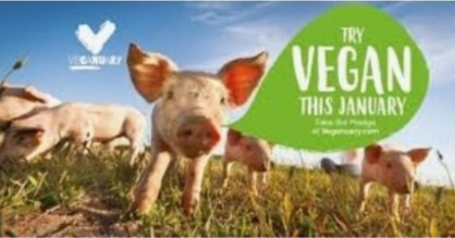 Let's make 2021 the year we think about all the lives on earth 🐷🐄🐑🐥🦃🐓
Let animals live a happy and healthy life💚❤
Be Vegan and let 2021 be a Happy New Year 🤩😍😘❤💚 #vegan #veganfortheanimals #lovealllife #HappyNewYear2021 #Veganuary2021 #animalswanttolive #veganforlife