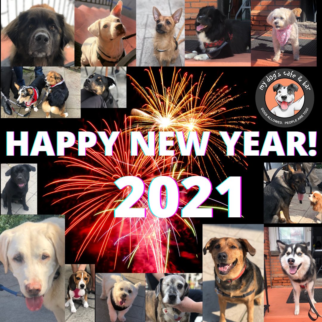 DogCafeLockeSt's tweet photo. Happy New Year!! #2021 #hamont #hamiltonontario #rawdog #dogcafe https://t.co/PqB4UtgjR3