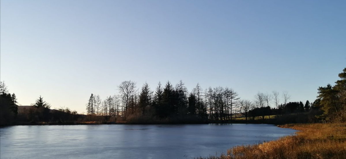 Lintrathen Cycles tweet media