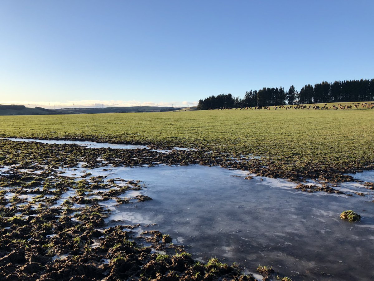 Lintrathen Cycles tweet media