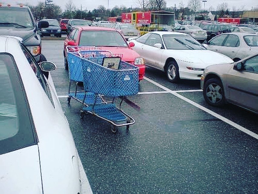 Alan Stein, Jr. tweet media