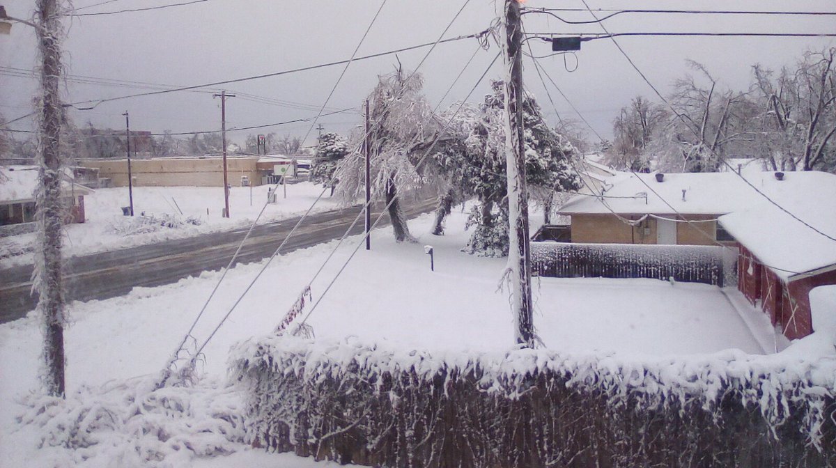 Tim Coats tweet media