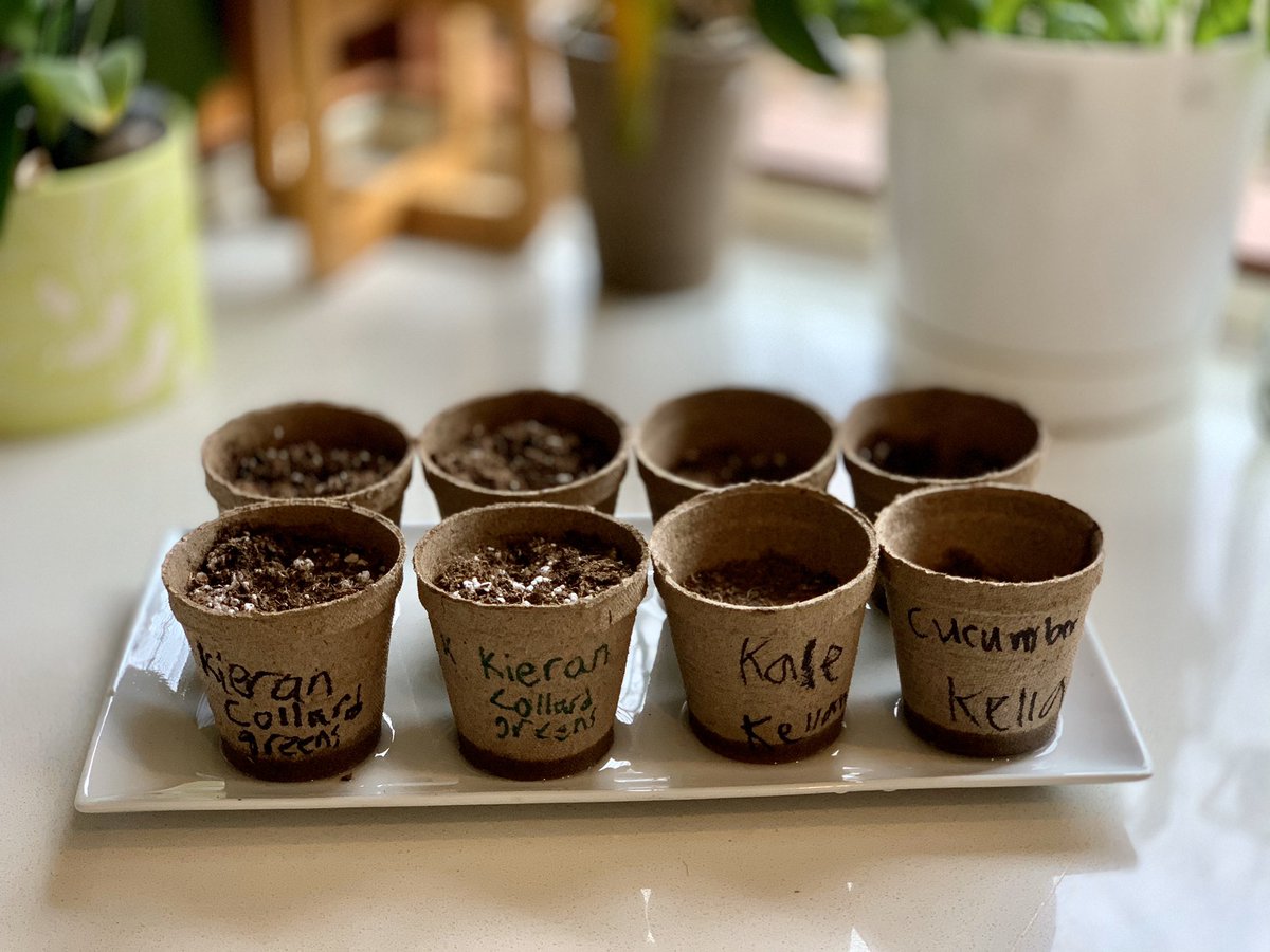 #HappyNewYear2021 to all my #MedTwitter friends...and to all the new friends I hope to make in 2021!

Starting out the New Year with hope by planting seeds. 

Grateful to the amazing, thoughtful @DukeCardFellows @spates_m for the seeds, pots & soil. Lucky to have her in my life!