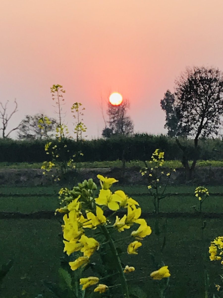 itsanambivert's tweet image. #Firstsunset                                    #January2021