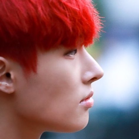 His nose. Please look at his perfect nose i)/!/7/?/$/!