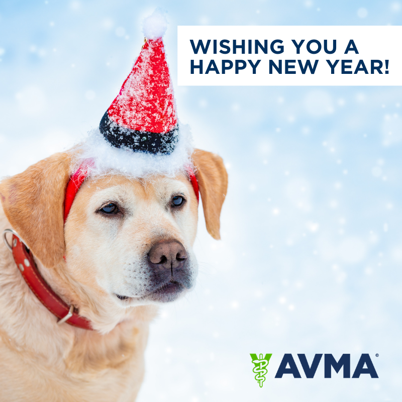 AVMAvets's tweet image. From all of us at the AVMA, we want to wish you a very happy New Year! 🐶🎉🎊 

One of the best resolutions you can make in 2021 is to protect the health and welfare of your pets. You can find more helpful information about responsible pet ownership ➡️ bit.ly/39tXOtJ.