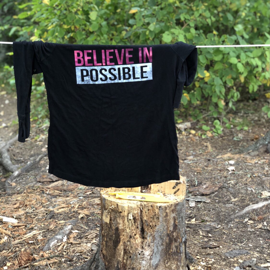 SuzBlonz's tweet photo. Decided my word for 2021 will be visionary. Fits the mindset and determined to live daily into the meaning. “They can because they think they can”. Our possibilities are truly endless. Happy first day of a new 365 page book you get to write, xoxo 😘 https://t.co/LSMpe6qOSV