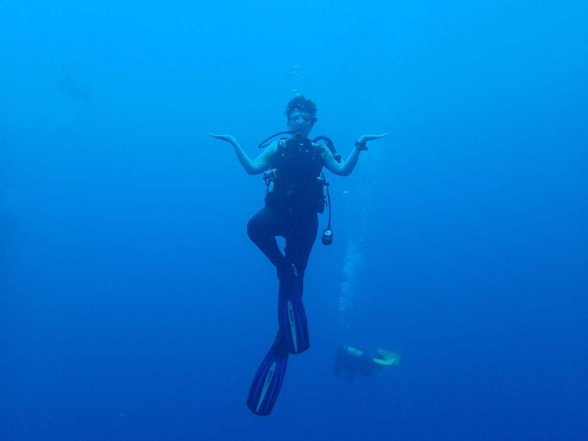 NeilCrenshaw's tweet photo. Into the ocean I go
To lose my mind
And find my soul https://t.co/eOdqDWBytj